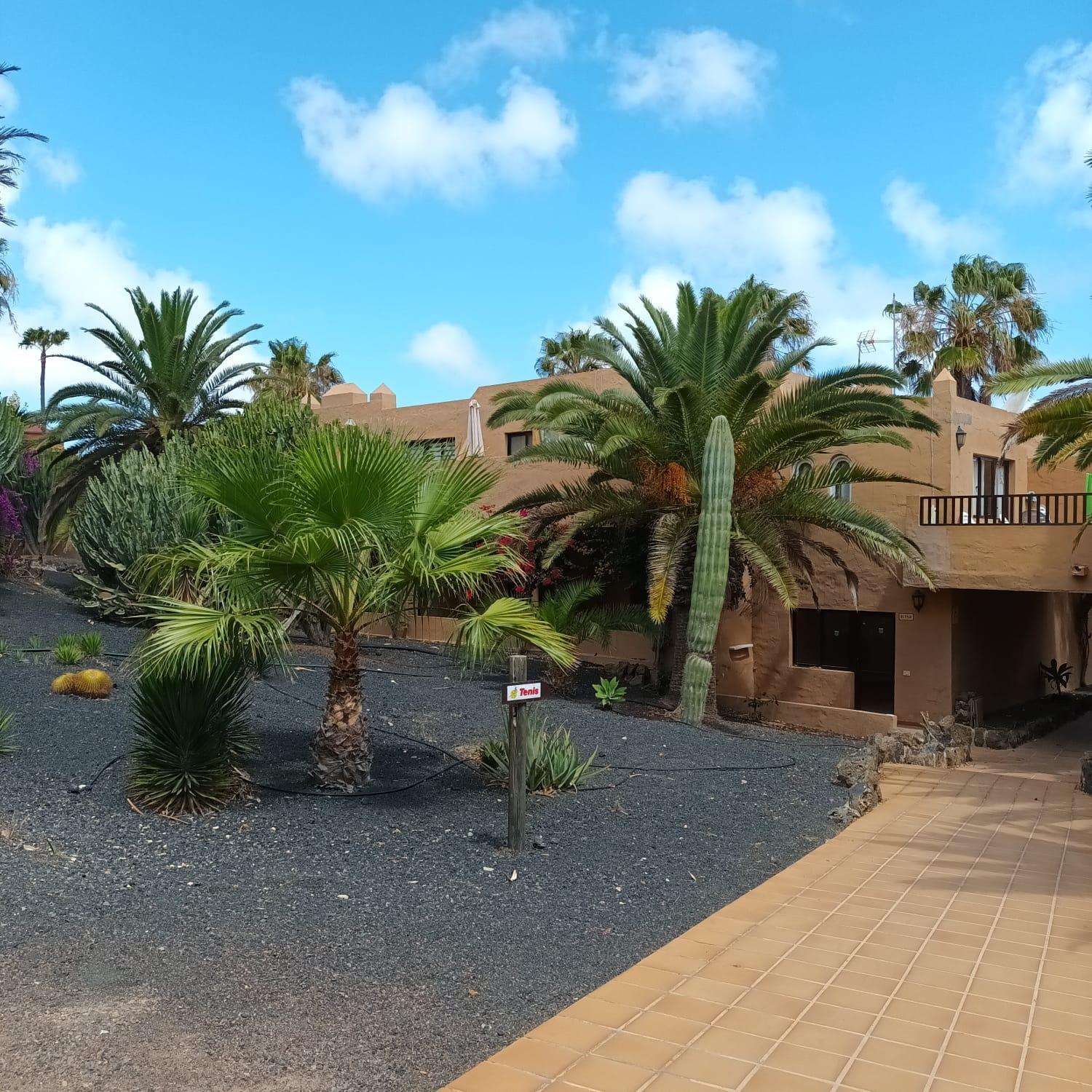 Simon And Ami Aparments Corralejo